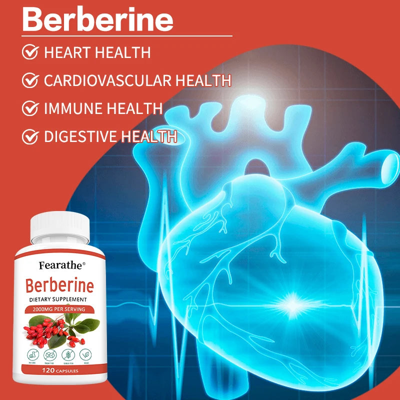 Natural Berberine Capsules 2000mg | Support Cardiovascular & Digestive Health
