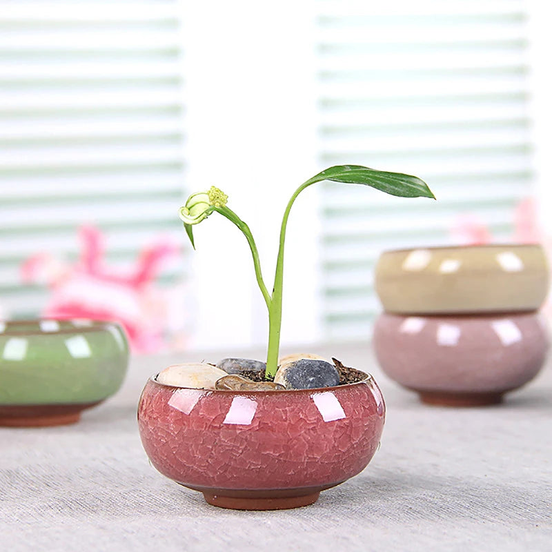 Cute Ice-Crack Glaze Flower Ceramic Succulent Planter