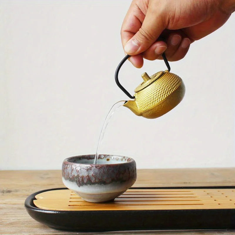 Mini Cast Iron Teapot Set | Elegant Drinkware & Infusers