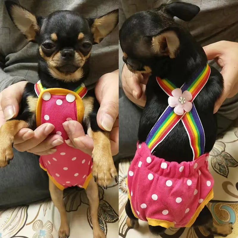 Denim Dog Shorts for Small & Medium Dogs | Stylish Pet Underwear