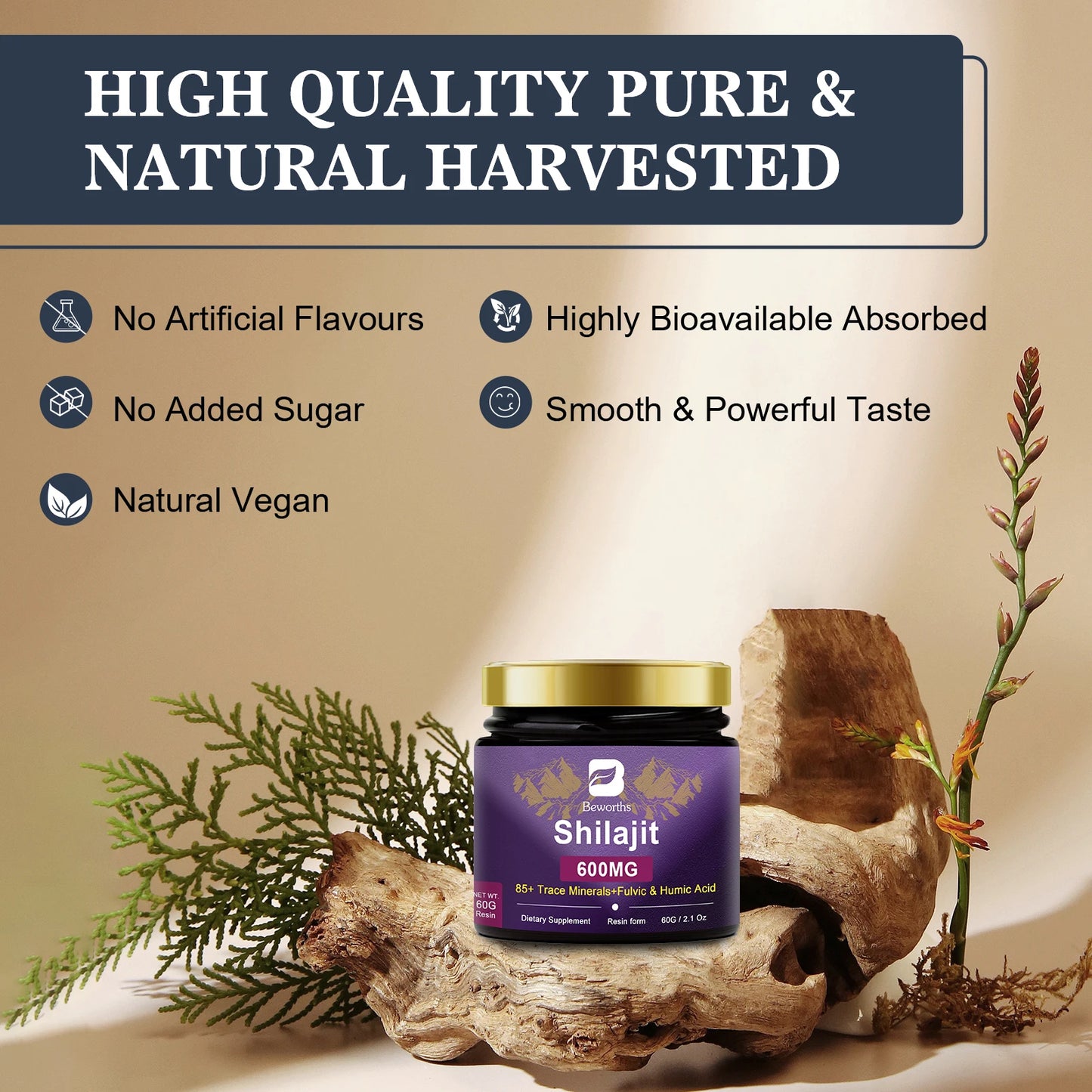 Pure Himalayan Shilajit Resin | Energy-Boosting Mineral Supplement