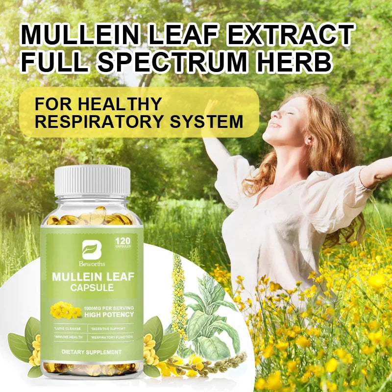 BEWORTHS Natural Mullein Leaf Capsules Support Immune and Digestive Health Lung Cleansing Relieve Asthma,Respiratory & Cough