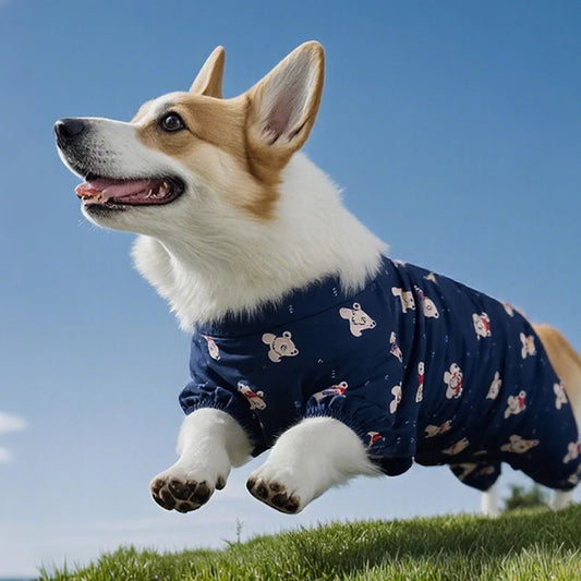 Waterproof Pet Pants | Summer Full Print Corgi Dog Clothing