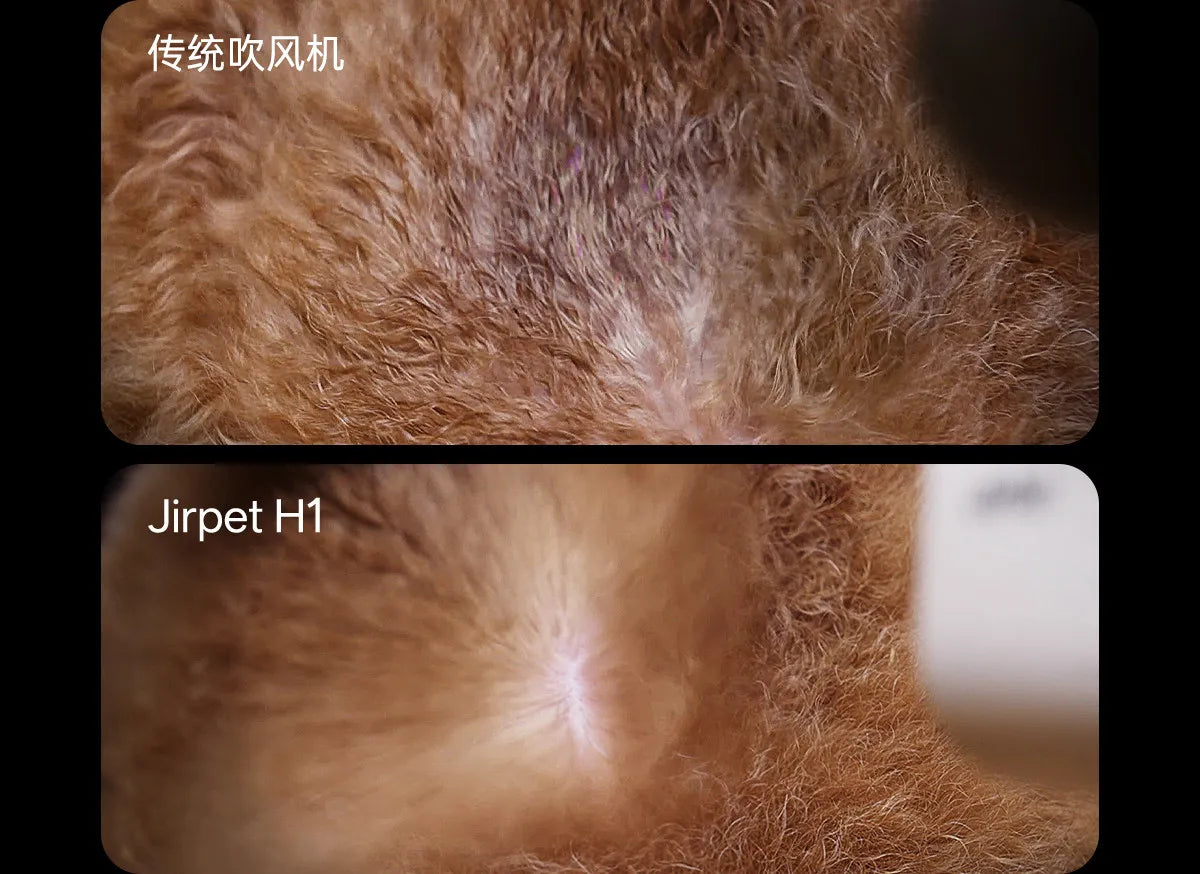 Hands-Free Pet Neck Hair Dryer for Dogs & Cats | Professional Grooming Tool