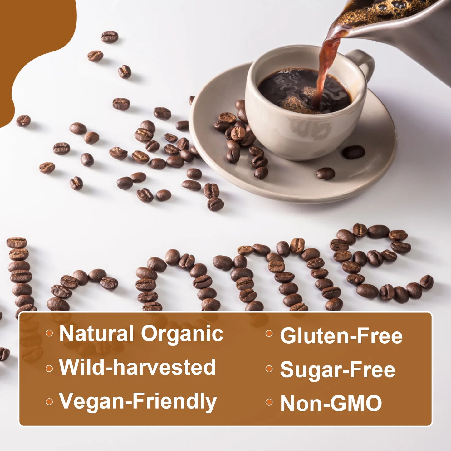 Mushroom Coffee for Immunity & Focus | Daily Health Boost
