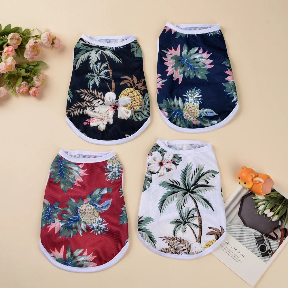 3PCS Pet Cat Vest Set Summer Breathable Mesh Sphynx Cats Clothes Shirt Lightweight Soft Puppy Kitten Outfits for Indoor Outdoor