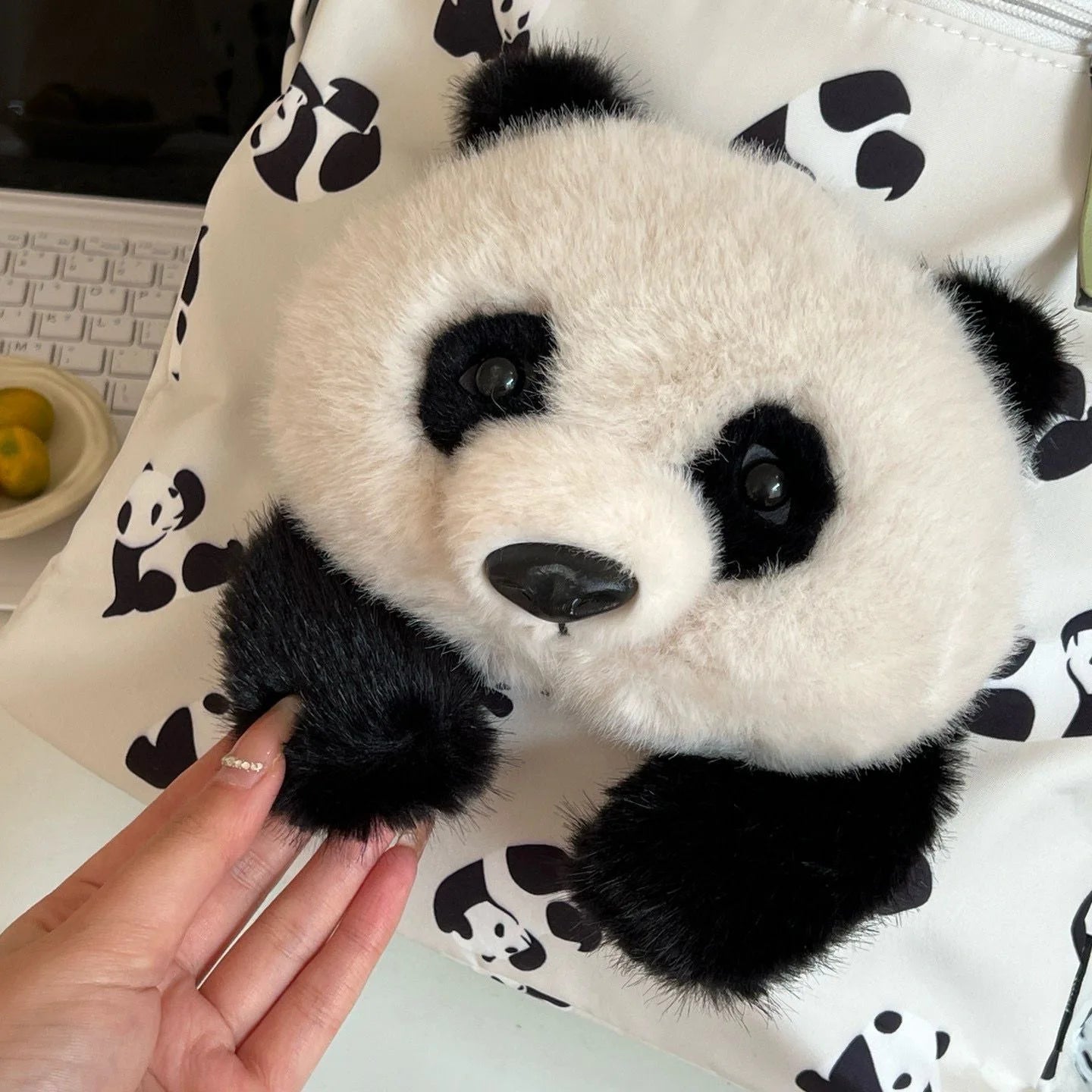 Cute Panda Backpack | Fashionable Lightweight School Bag for Students