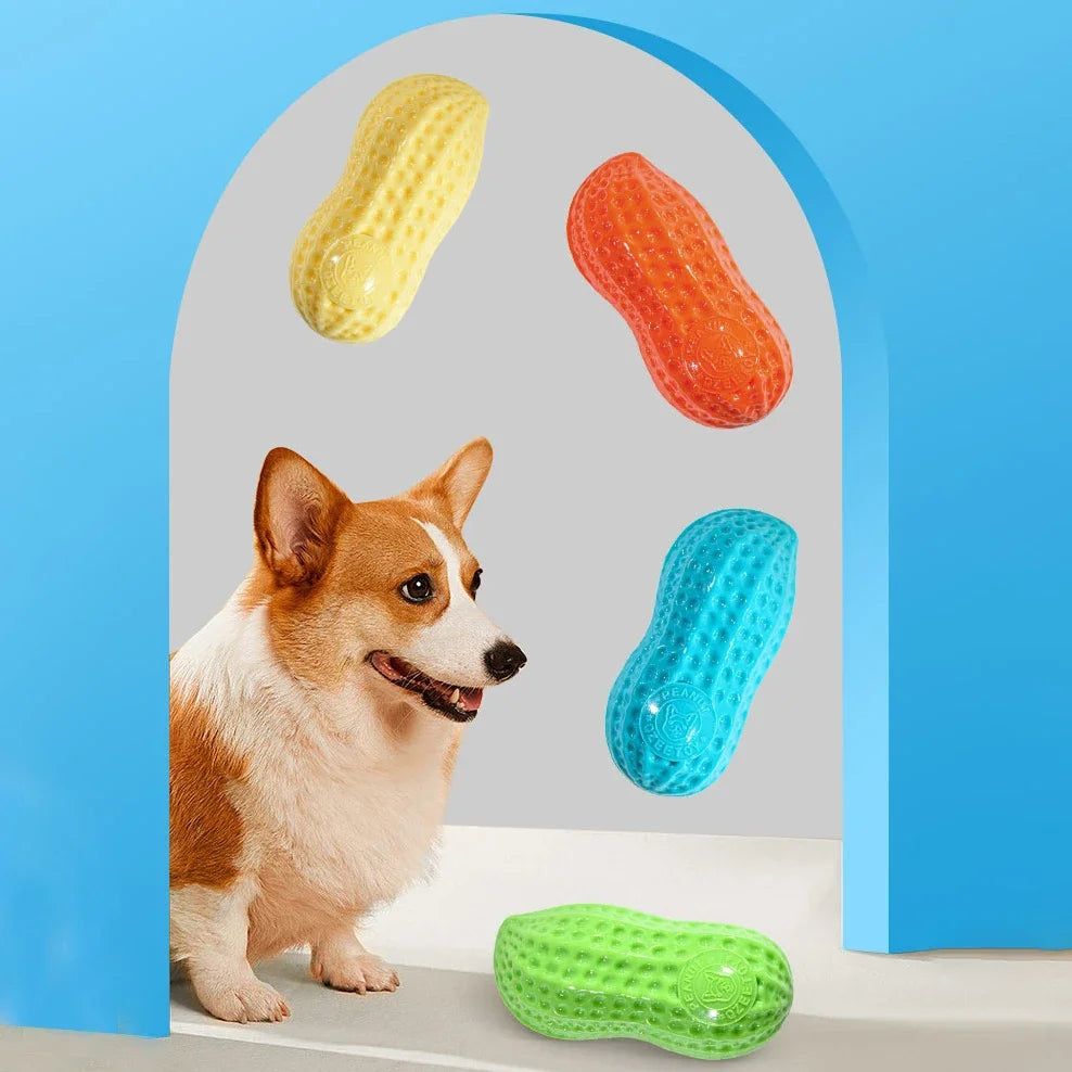 Interactive Dog Chewing Toy | Peanut Shaped Squeaker for Teeth Care