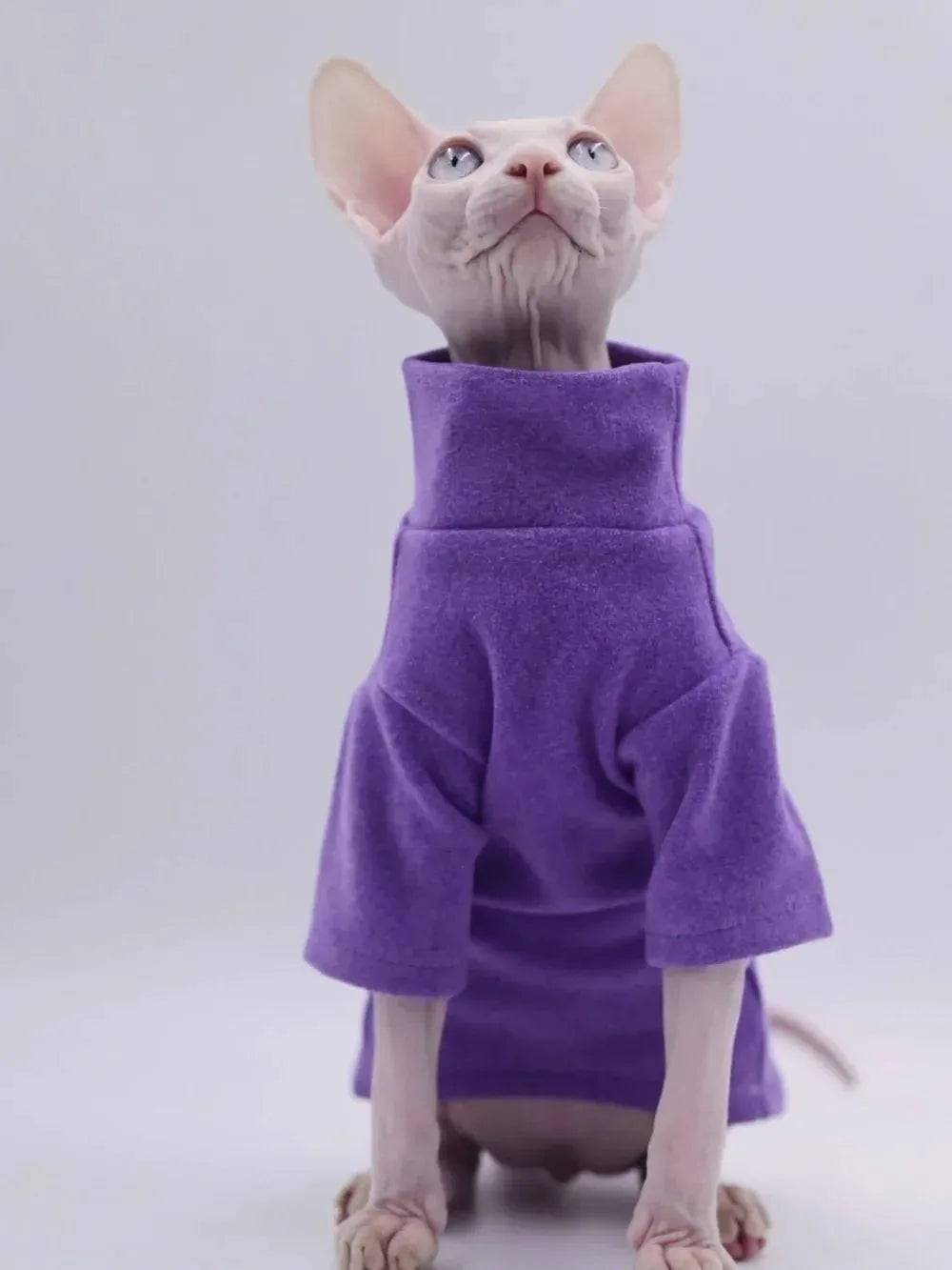 Soft Cotton Winter Outfit for Sphynx Cats | Warm Pet Sweater