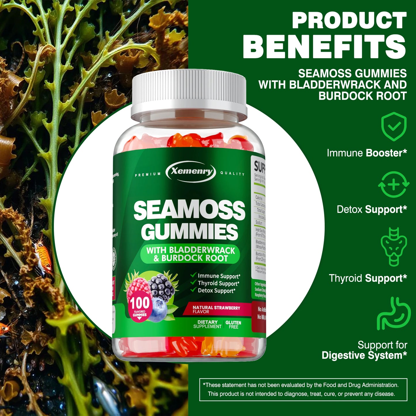 Sea Moss Gummies with Burdock Root & Bladderwrack | 100 Count