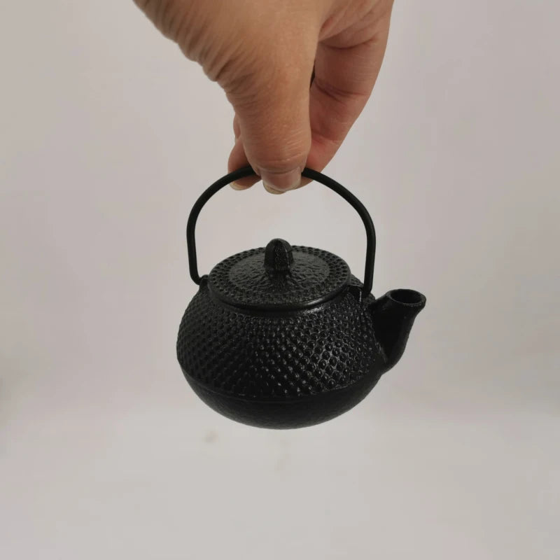 Mini Japanese Tetsubin Cast Iron Kettle | Elegant Teapot
