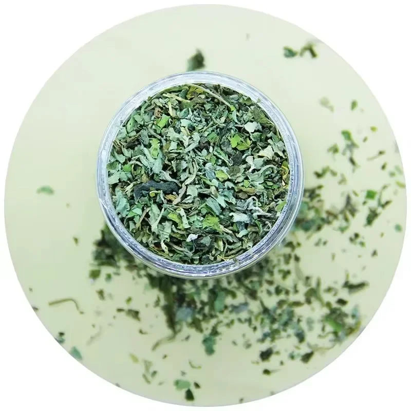 Organic Natural Catnip Cattle Grass Mint Taste Cat Toy