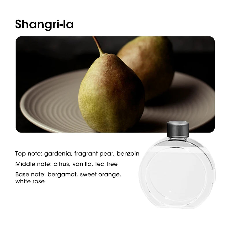 USB Aromatherapy Diffuser Humidifier | Hydrate Your Space