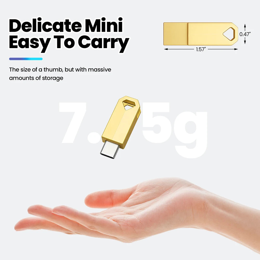 2-in-1 Mini Type C Metal USB Flash Drive | Creative Gift Options