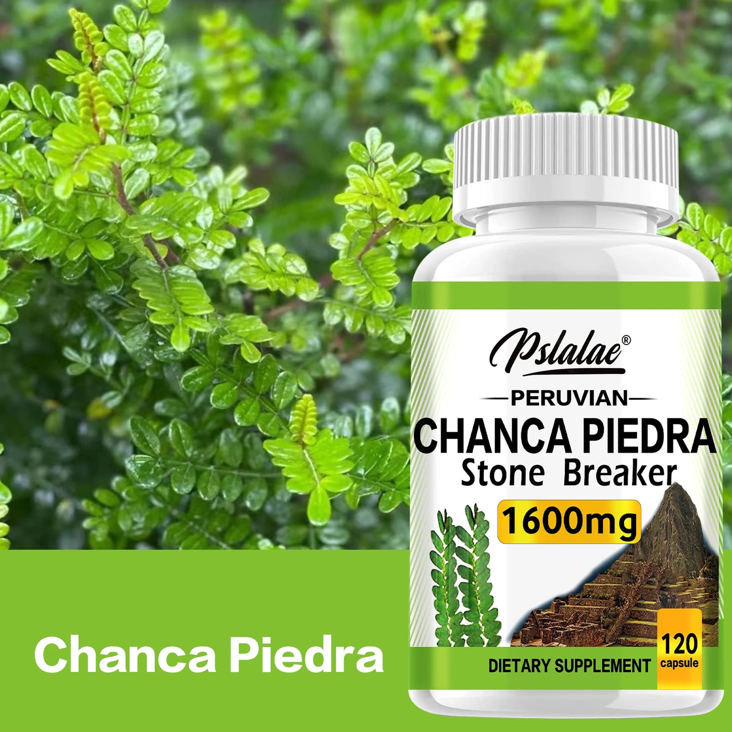 Chanca Piedra 1600mg Capsules | Supports Kidney Health & Detox