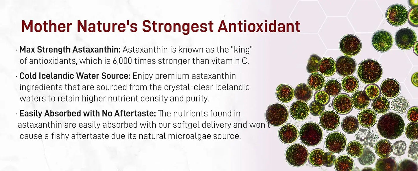 Astaxanthin Supplement Softgels | Powerful Antioxidant Support