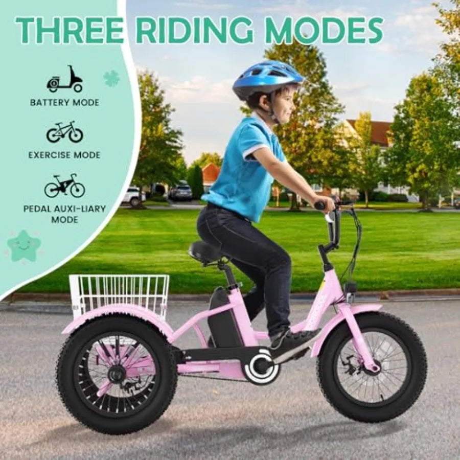 Electric Tricycle for Youth | 250W 3-Wheel Electric Bike