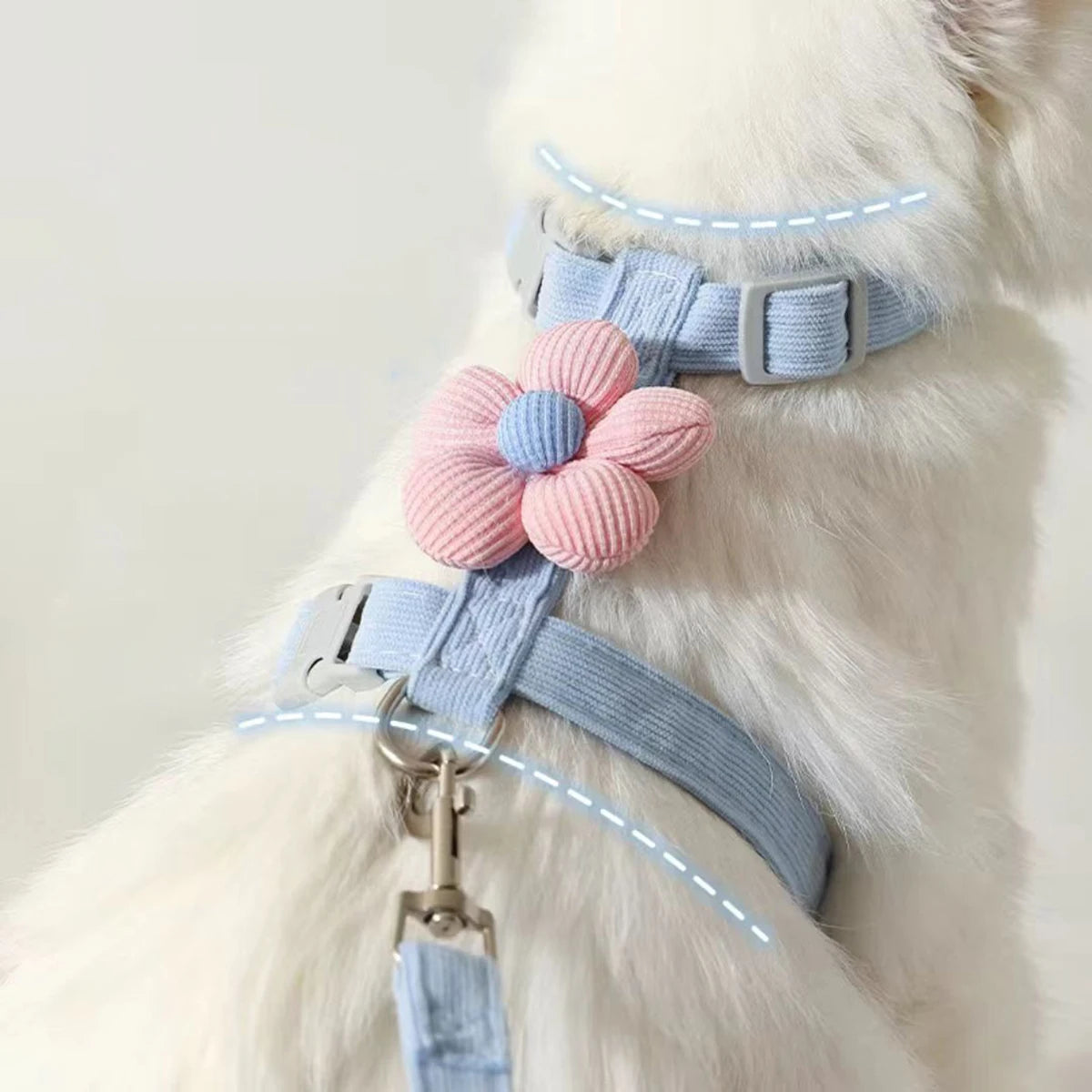 Adjustable Cat Harness and Leash Set | Perfect for Small Dogs & Cats