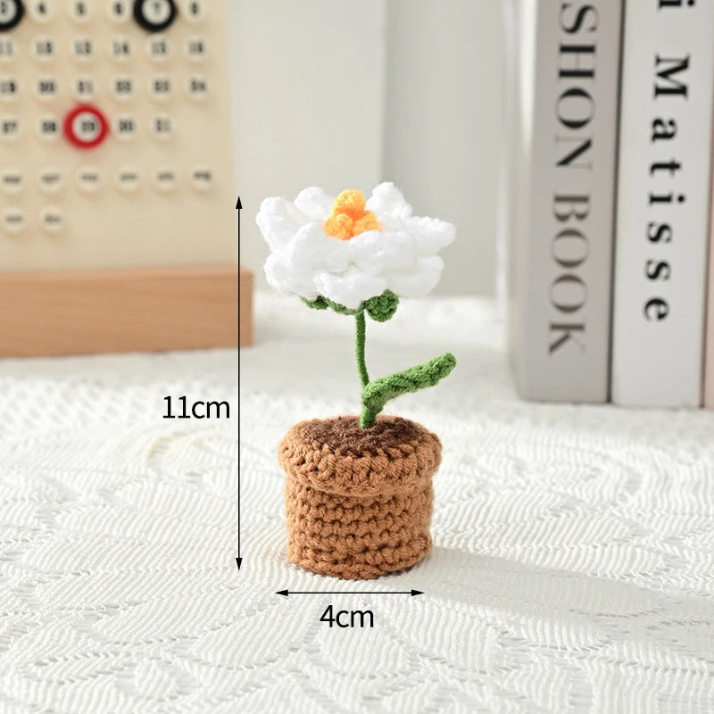 Beautiful Hand-Woven Crochet Flower Pots for Home Décor