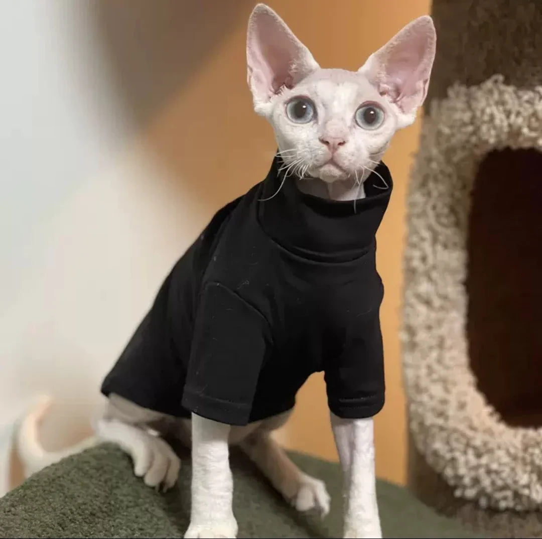Ropa interior térmica cálida para gatos sin pelo | Prendas de abrigo auto-calentables