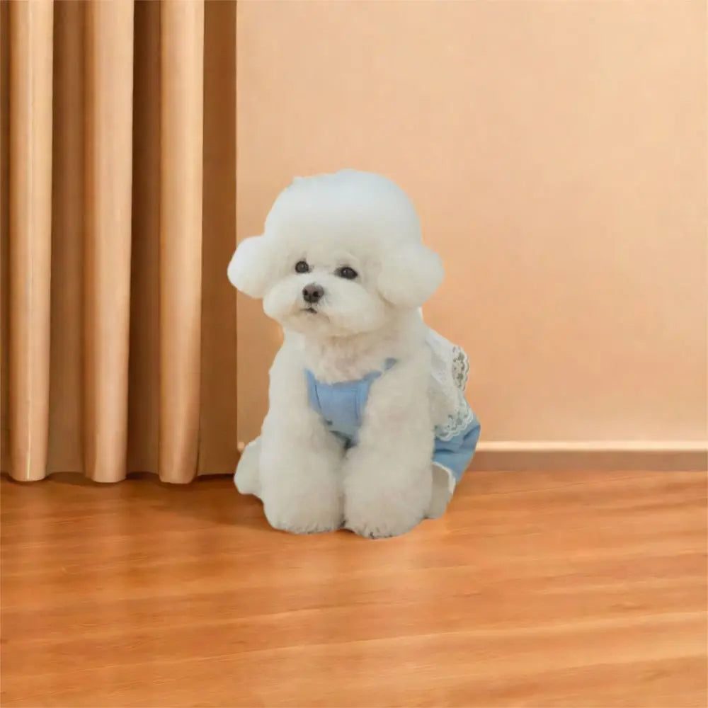 Breathable Soft Pet Lace Jumpsuit | Fashionable Dog Pajamas