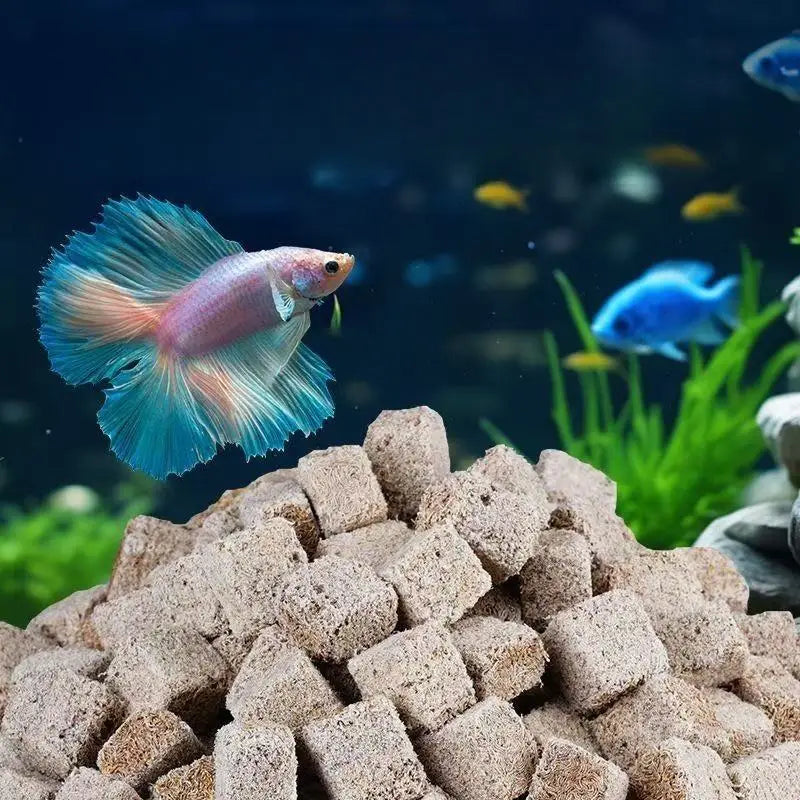 High Protein Freeze Dried Bloodworms for Fish & Tortoise Feed