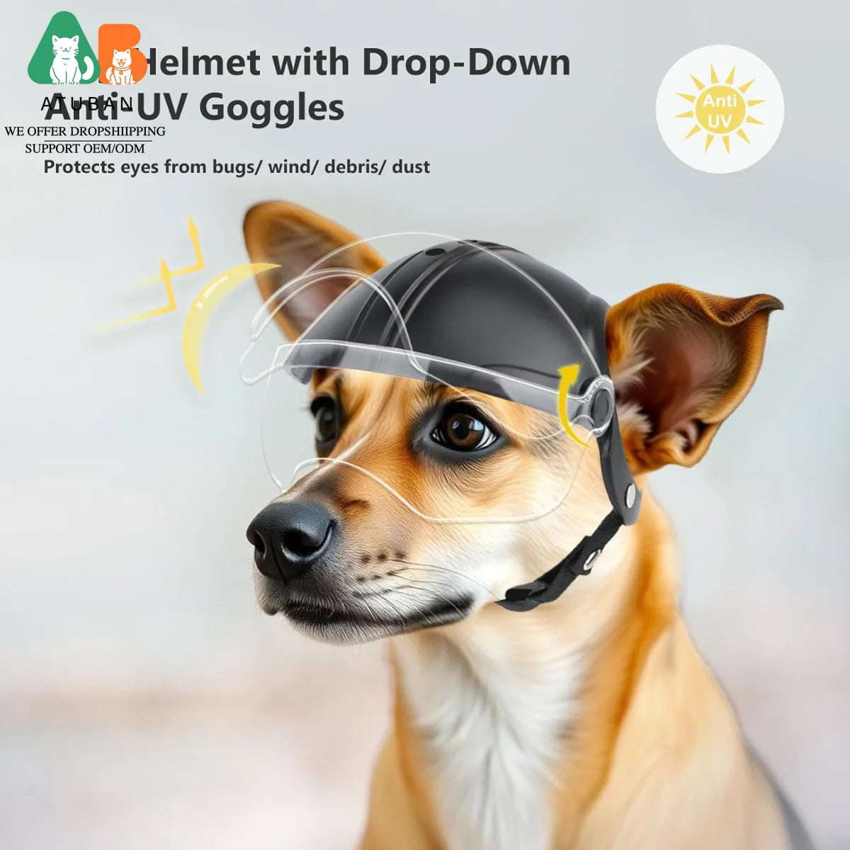Dog Motorcycle Helmet for Small Breeds | Stylish & Protective