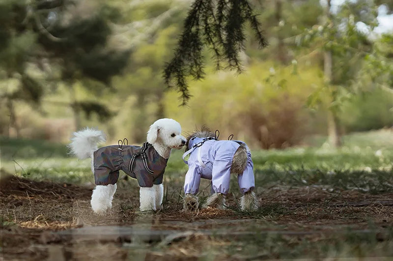 Adjustable Reflective Dog Raincoat with Harness for Small Dogs