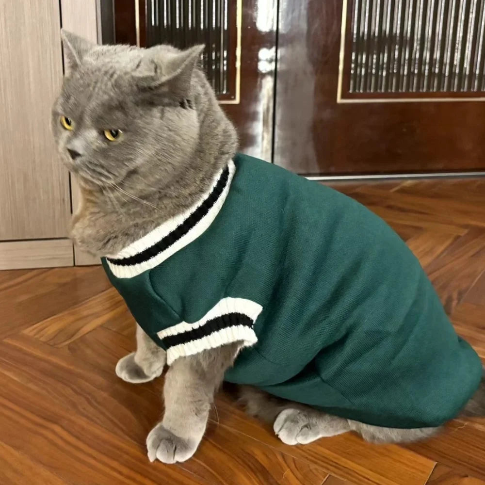 Cute Winter Cat Clothing | Soft & Warm Windproof Puppy Outfits