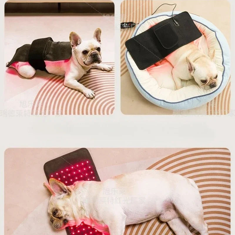Veterinary Red Light Therapy Mat for Pain Relief in Pets