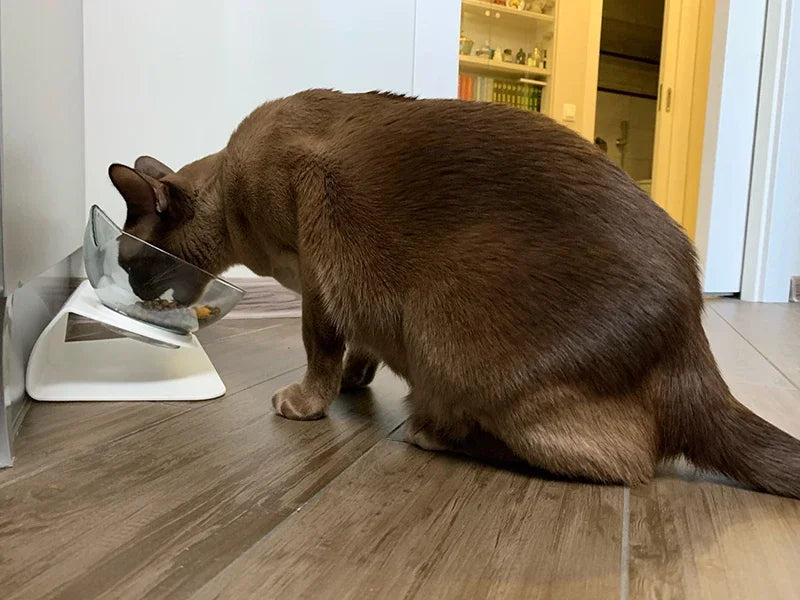 Non-Slip Double Pet Bowl with Stand | Ideal for Cats and Dogs