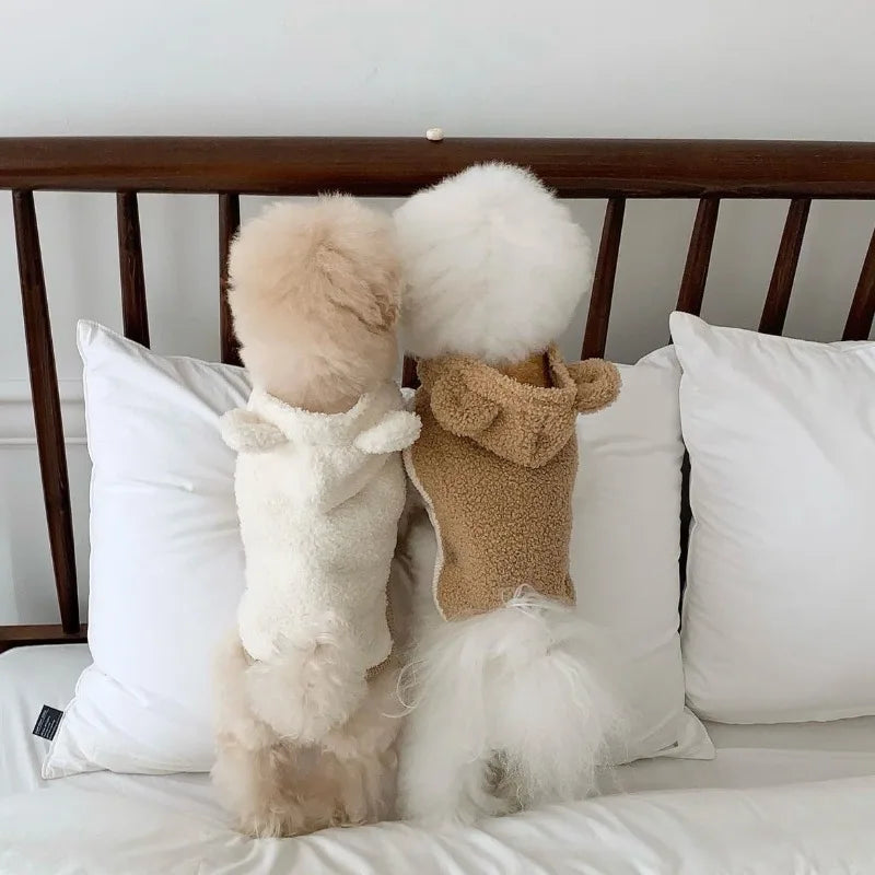 Acogedor chal de lana para perros pequeños y gatos | Ropa de otoño