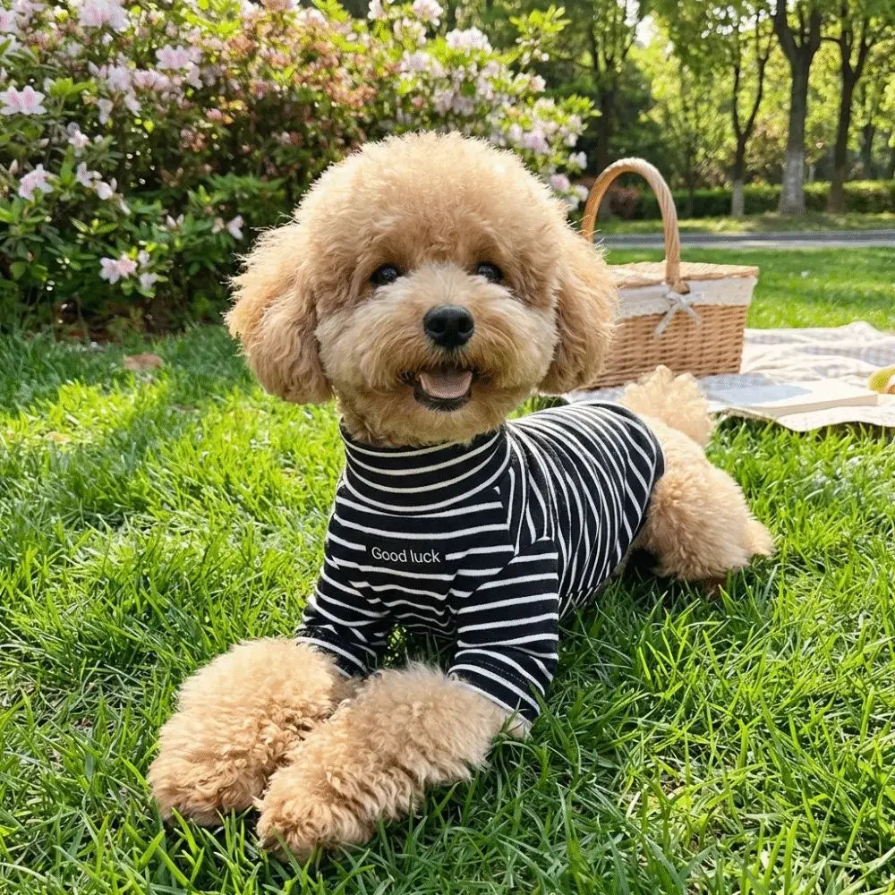 Thermal Dog Sweater | Soft and Warm Striped Pet Clothing