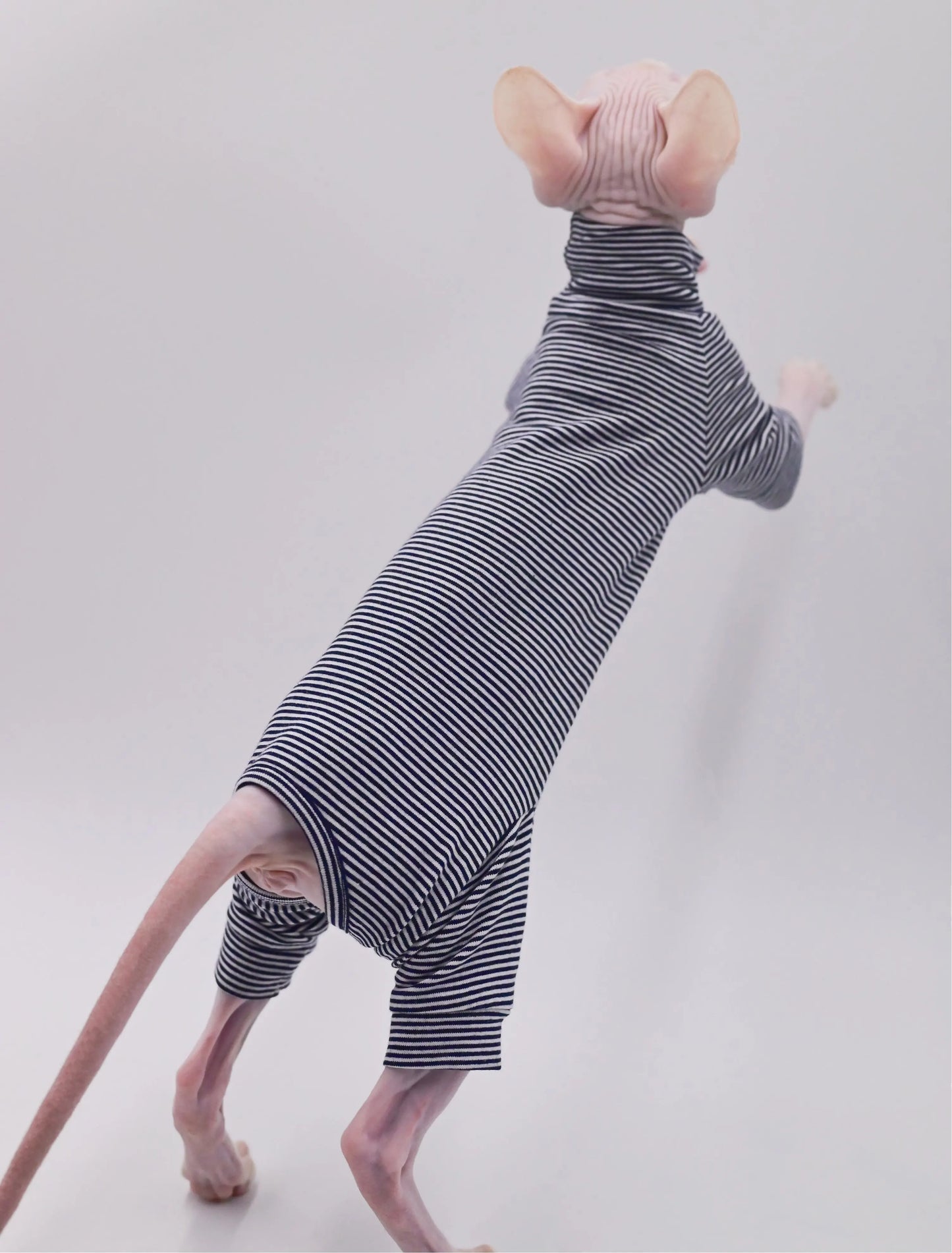 Comfortable Cotton Clothes for Sphynx and Hairless Cats