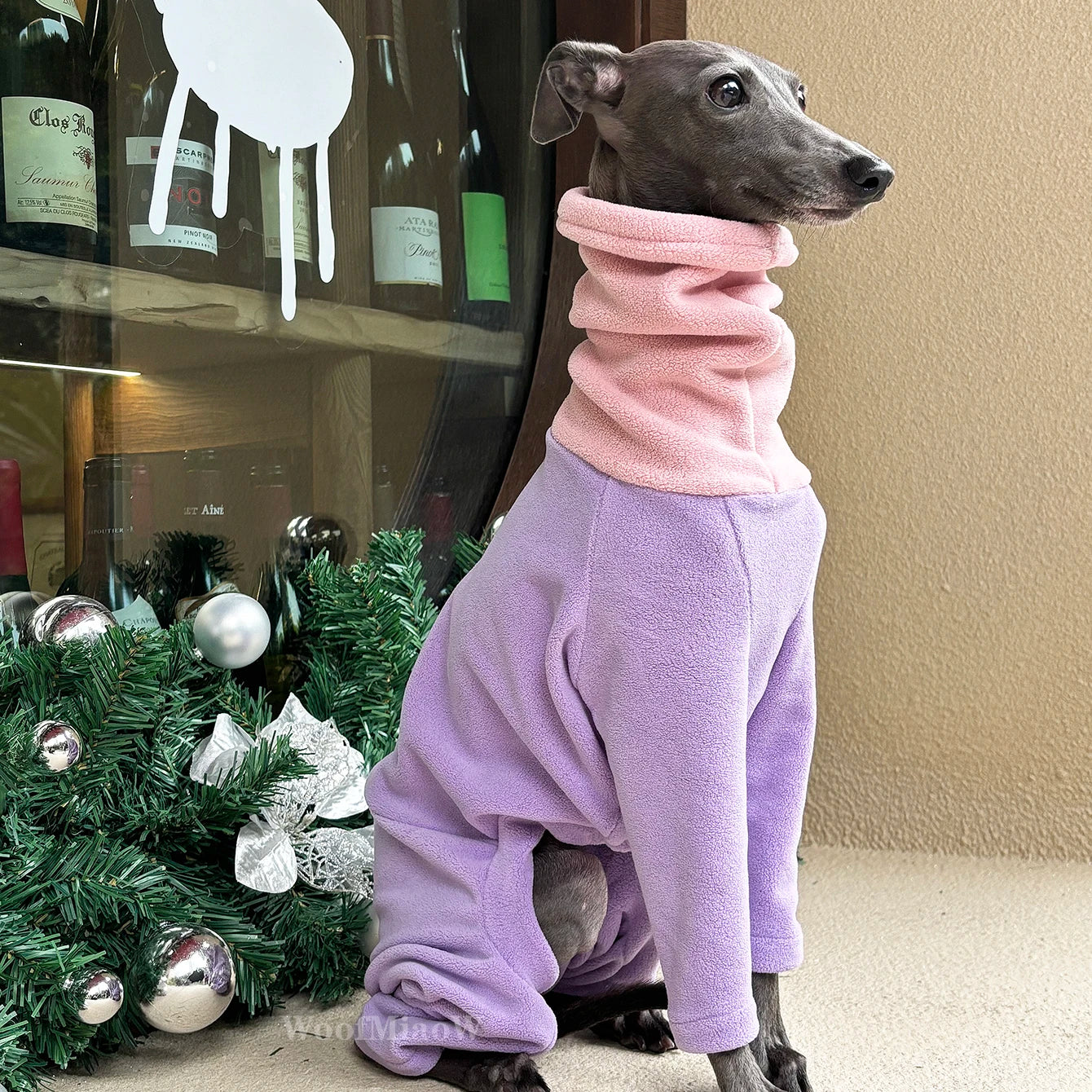 Ropa de invierno para perros | Atuendos suaves y elegantes para razas pequeñas