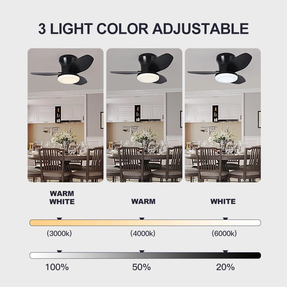 Modern Minimalist Ceiling Fan Lights for Every Room