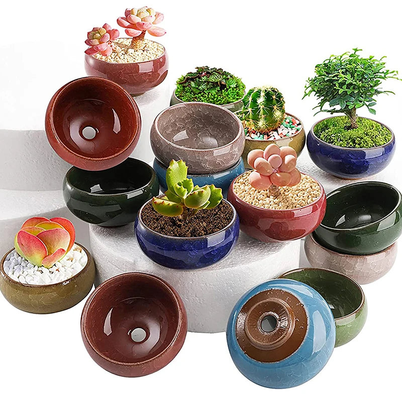 Cute Ice-Crack Glaze Flower Ceramic Succulent Planter