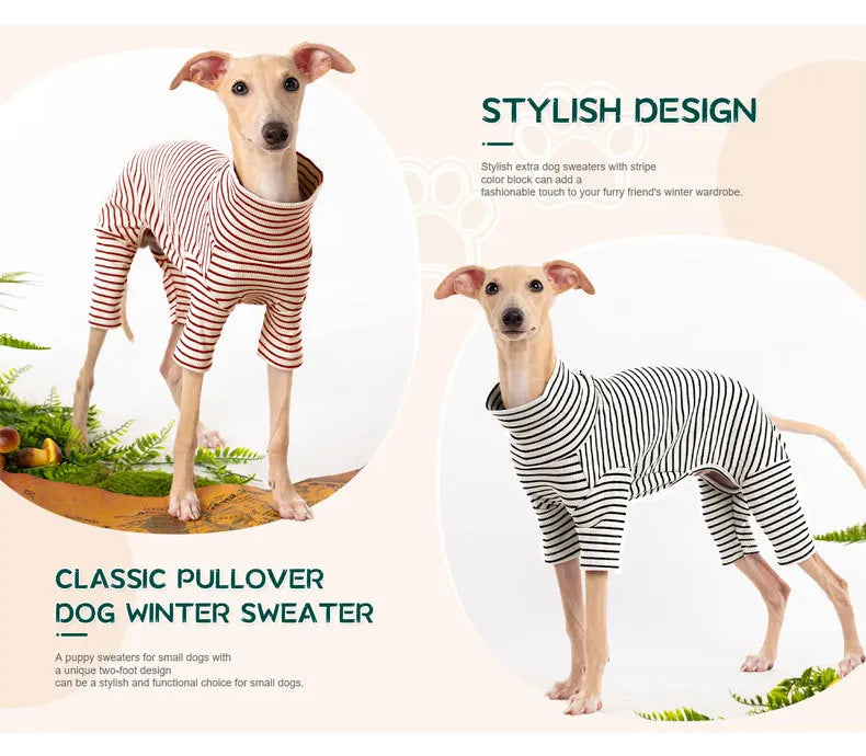 Four Legged Spring Pet Dog Jumpsuit | Comfortable Dog Apparel