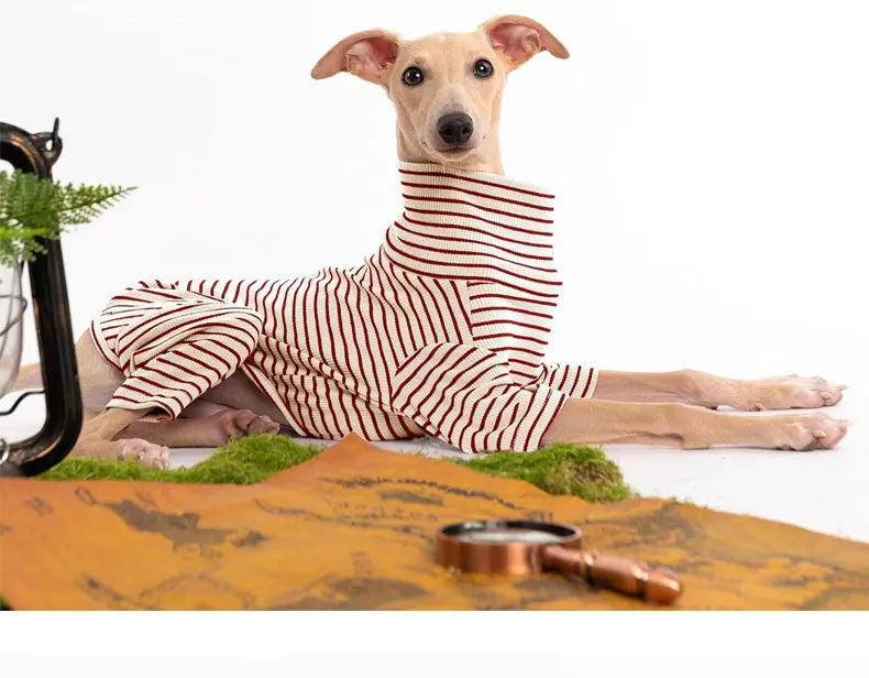 Four Legged Spring Pet Dog Jumpsuit | Comfortable Dog Apparel