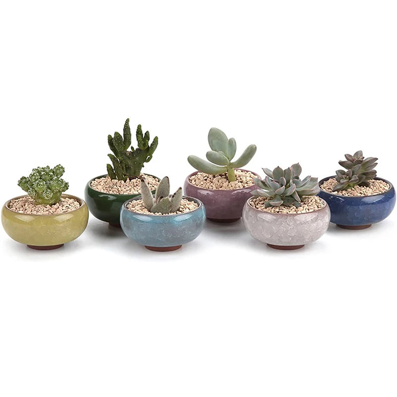 Cute Ice-Crack Glaze Flower Ceramic Succulent Planter