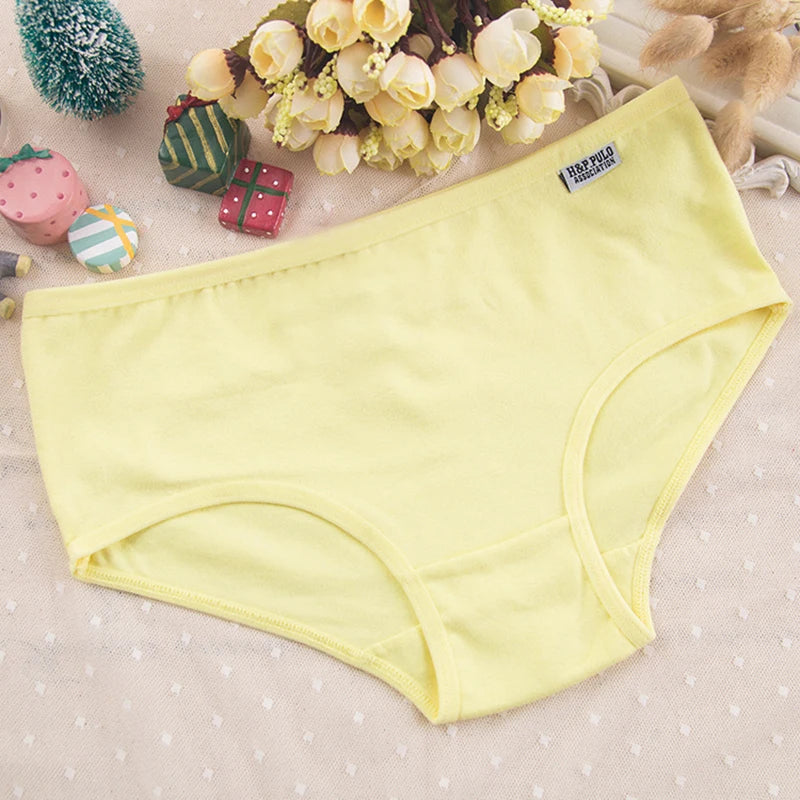 Plus Size Women's Cotton Briefs | Comfortable Sexy Lingerie Set