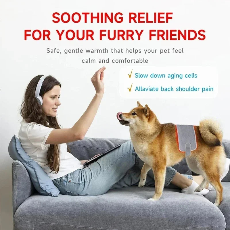 Handheld Laser Light Therapy Device for Pain Relief in Pets & Humans