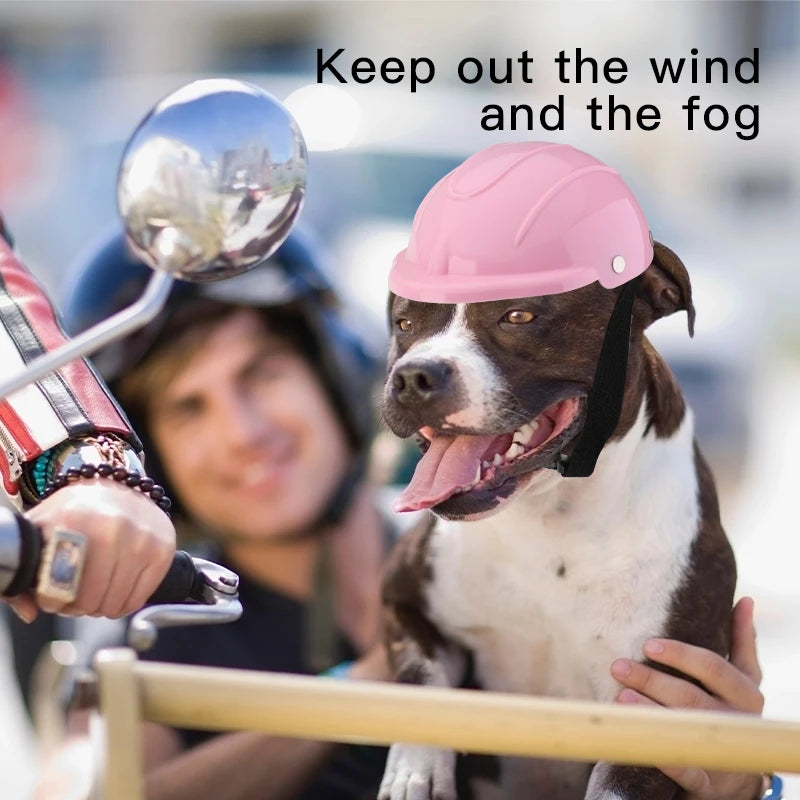 Cross-Border Pet Safety Helmet for Dogs and Cats | Pet Motorcycle Gear