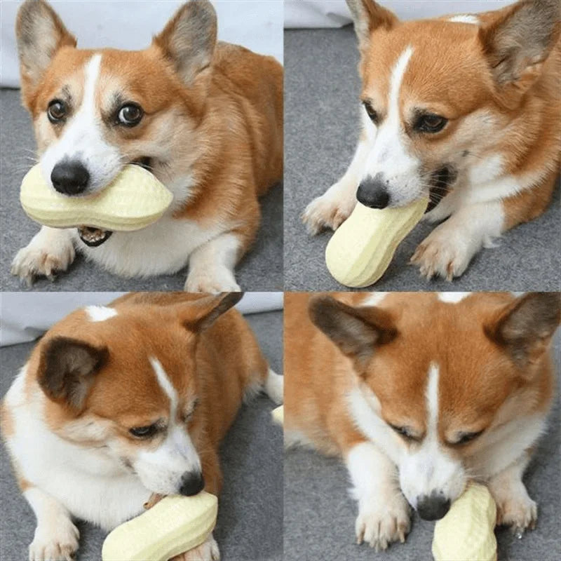 Interactive Dog Chewing Toy | Peanut Shaped Squeaker for Teeth Care