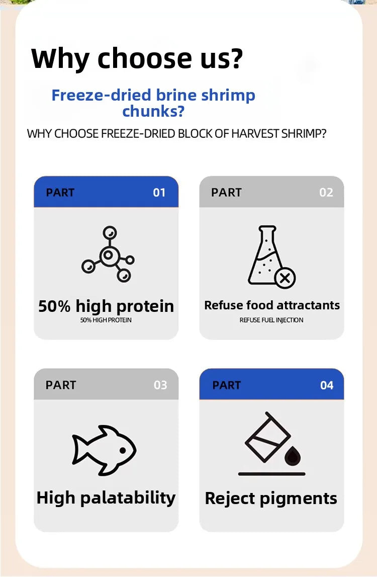 Freeze-Dried Brine Shrimp Blocks for Fish | Nutrient-Rich Treats