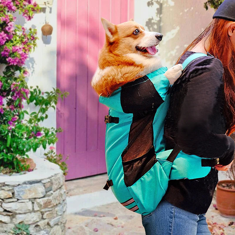 Cycling Travel Pet Carrier for Small to Medium Dogs | Adjustable Backpack