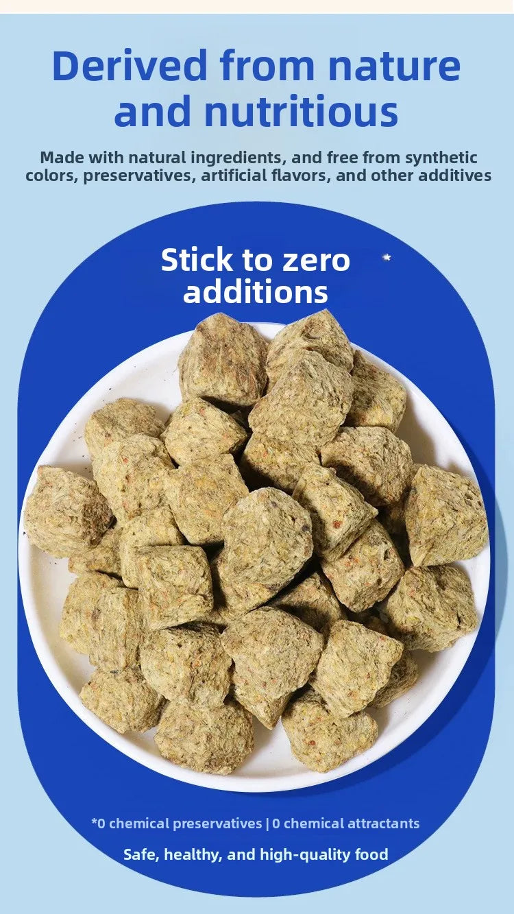 Freeze-Dried Brine Shrimp Blocks for Fish | Nutrient-Rich Treats