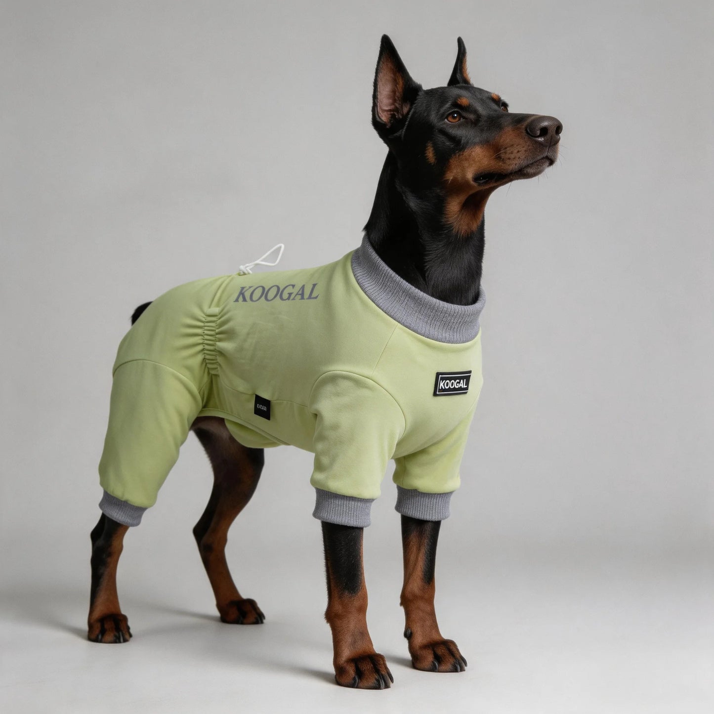 Lightweight Summer Dog Pyjamas | Comfortable Dog Onesie for All Sizes