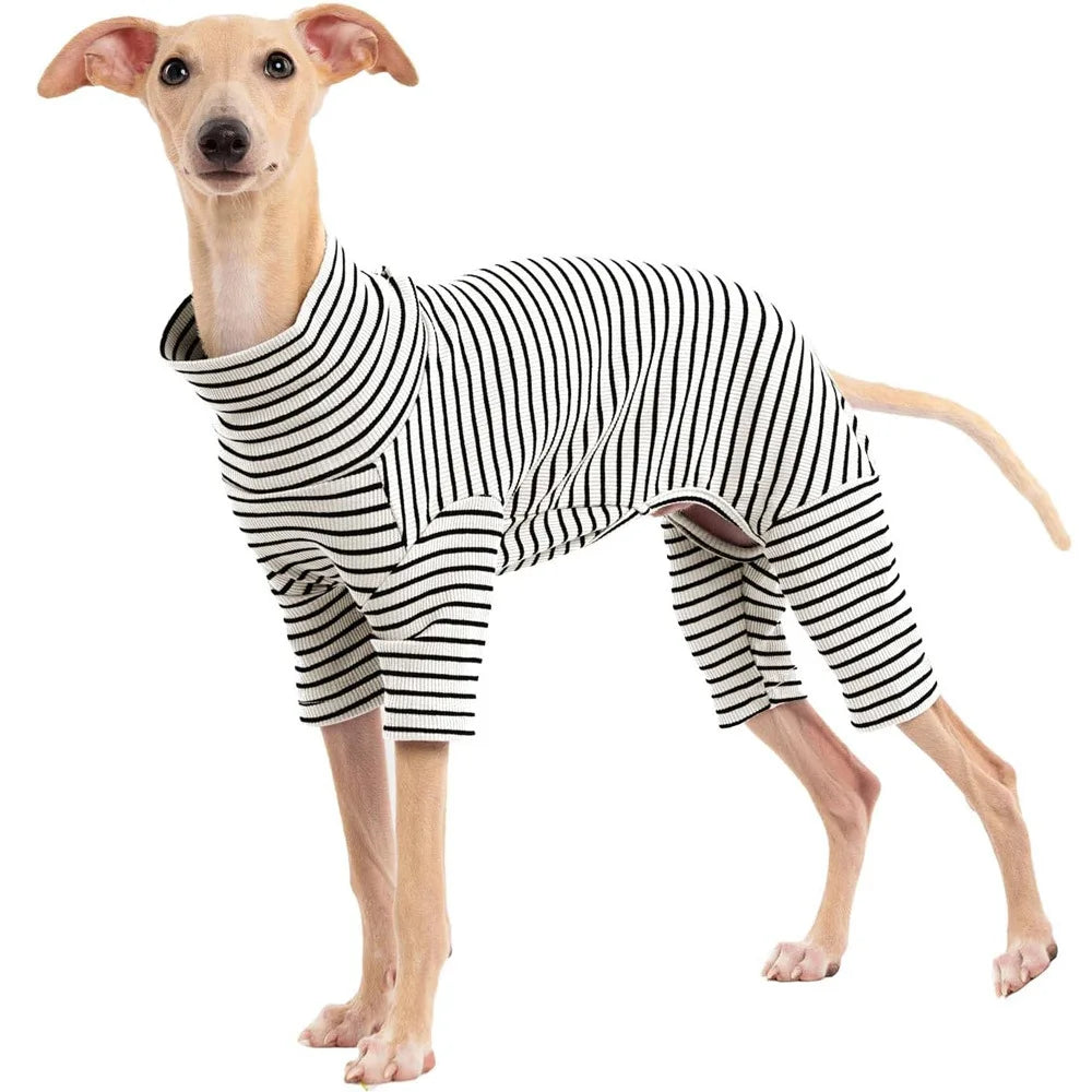 Four Legged Spring Pet Dog Jumpsuit | Comfortable Dog Apparel