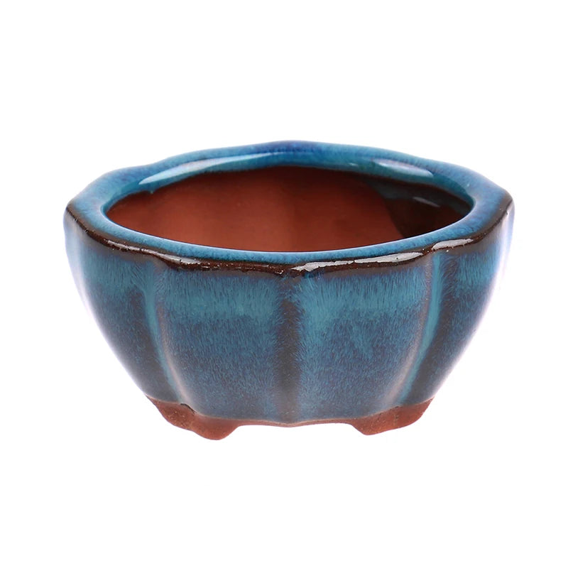 Chinese Style Bonsai Flowerpot | Ceramic Plant Planter for Home